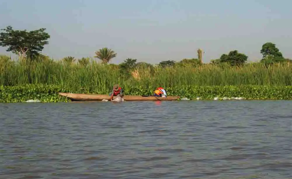 Drummond celebró Día de la Tierra