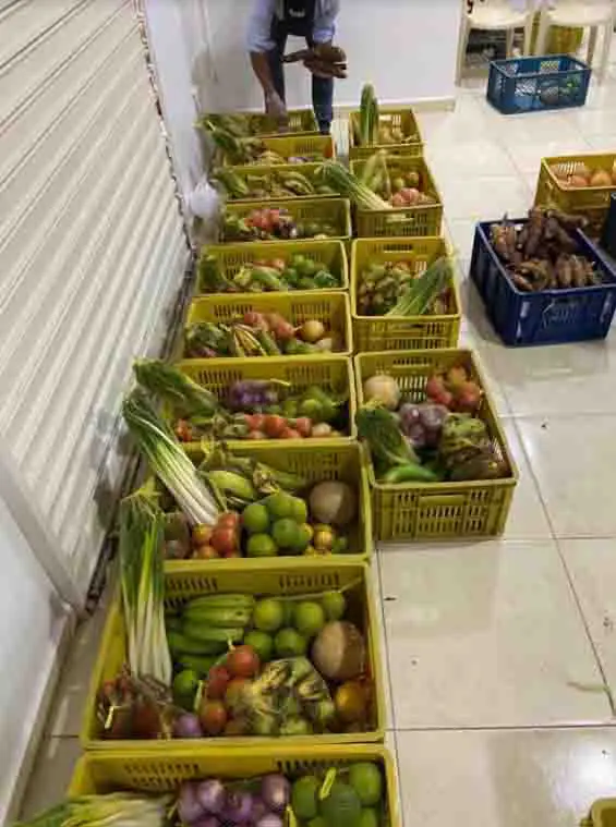 Drummond Ltd, Plaza Local