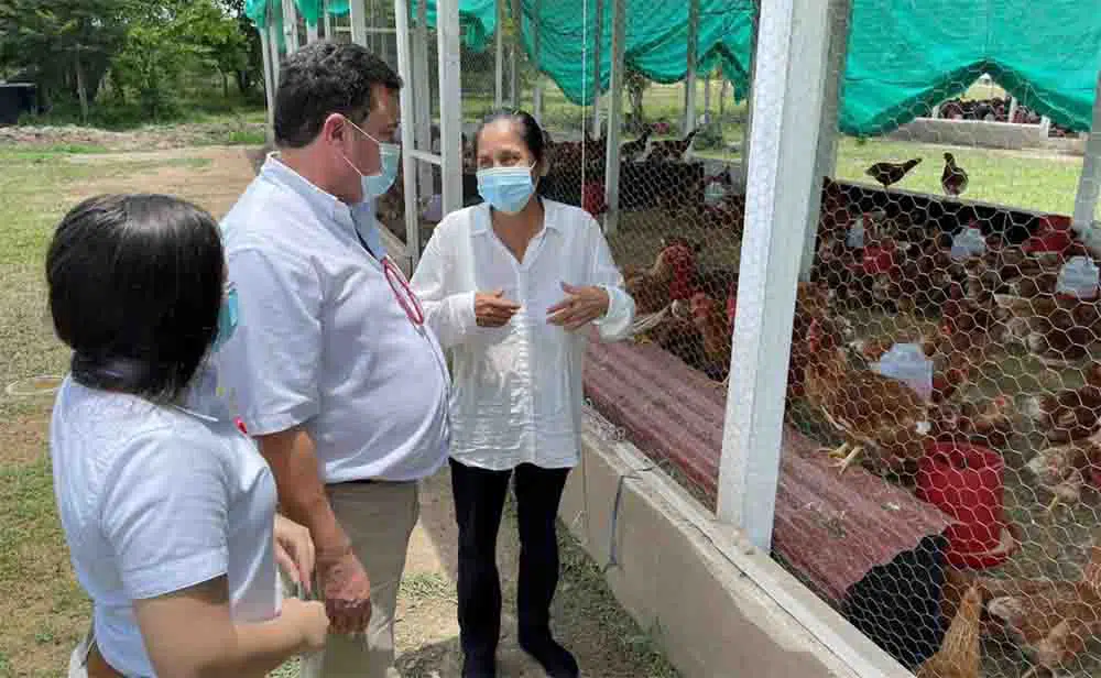 Drummond Ciudadela avícola, Algarrobo