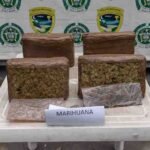 Capturado - Marihuana