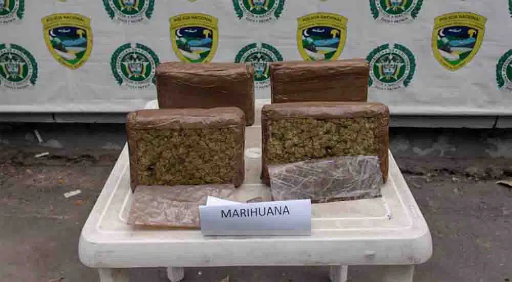 Capturado - Marihuana