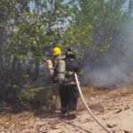 Corpamag - temporada seca