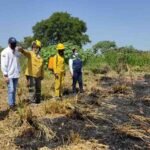 CORPAMAG determina afectación en aproximadamente 60 hectáreas de terreno CORPAMAG determina afectación de terreno