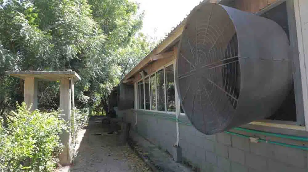 Capturada por delito de robo de Energía_