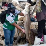 Unimagdalena - Servicio Estadístico Pesquero