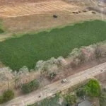 Extractora de Aceite El Gran Sinú