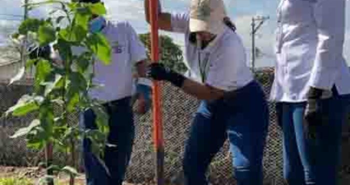 Con siembra de árboles en Santa Marta, Daabon celebra el Día de la Tierra