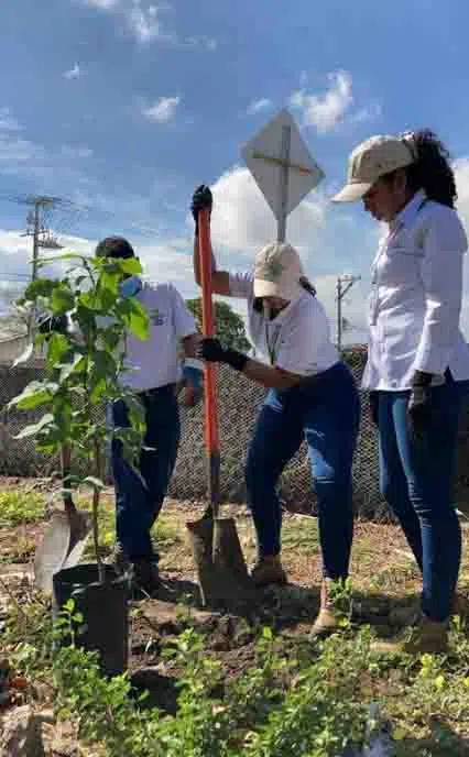 Daabon - Día de la Tierra
