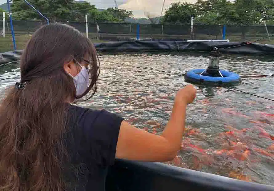 Unimagdalena, Doctorado en Ciencias del Mar
