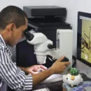 investigador Roberto José Guerrero Flórez