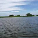 Corpamag, Caño Inasica recupera las condiciones hídricas y ambientales