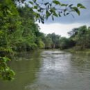Corpamag y Alcaldía de Remolino ejecutan obras de mantenimiento en el Caño el Ratón Corpamag, mantenimiento Caño el Ratón