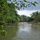 Corpamag, mantenimiento Caño el Ratón