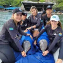 Corpamag y Acuario del Rodadero liberaron dos delfines