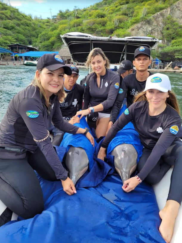 Corpamag y Acuario del Rodadero liberaron dos delfines