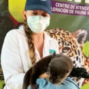 fauna y la flora en el Magdalena