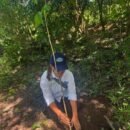 Corpamag acompaña a Fedepalma en jornada de siembra en el municipio de la Zona Bananera Corpamag y Fedepalma en jornada de siembra