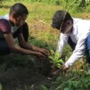 Fedepalma y Cenipalma inician la primera jornada de reforestación para la siembra de más de 11.600 árboles de especies nativas Fedepalma y Cenipalma - primera jornada de reforestación