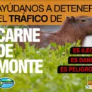 Llamado para evitar el consumo de carne de monte - Corpamag