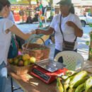 Con buena venta se realizó décima feria de E-Commerce en Santa Marta Con buena venta se realizó décima feria de E-Commerce