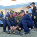 Cuatro tortugas marinas fueron liberadas en las playas de Santa Marta