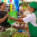 Magdalena tierra de agricultores