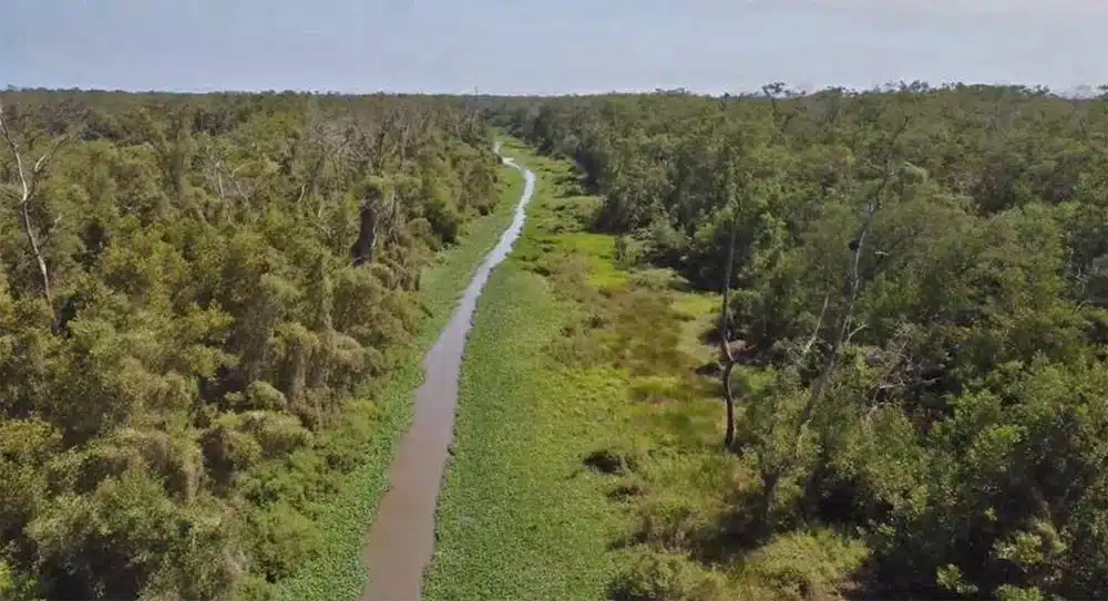 Corpamag inicia obras de mantenimiento en el Caño Clarín Viejo