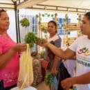 Zona Bananera - Feria Magdalena Tierra de Agricultores