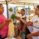Zona Bananera - Feria Magdalena Tierra de Agricultores