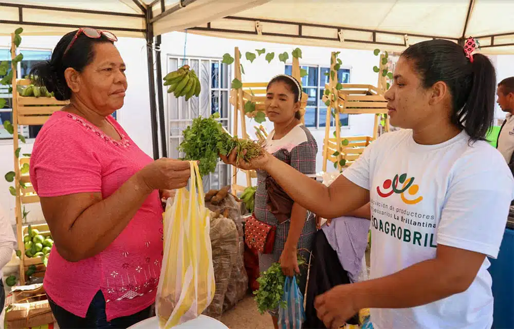 Zona Bananera - Feria Magdalena Tierra de Agricultores