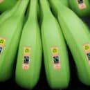 Empresa del Grupo Daabon reconocida con sello Fairtrade F.L.O