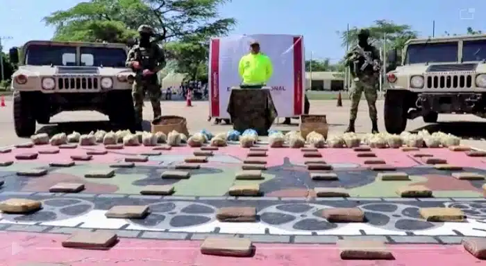 Ejército Nacional incauta más de 80 kilogramos de marihuana