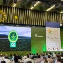 Todo listo para la edición 51 del Congreso Nacional de Palmicultores Todo listo para la edición 51 del Congreso Nacional de Palmicultores