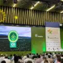 Todo listo para la edición 51 del Congreso Nacional de Palmicultores