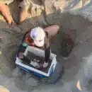 Tortuga Laúd anidó el playas de Mendihuaca