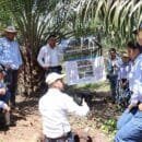 capacitación del proyecto palma de aceite y biocarbono en Orinoquia