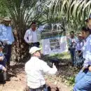 Con éxito avanza agenda de capacitación del proyecto palma de aceite y biocarbono en Orinoquia capacitación del proyecto palma de aceite y biocarbono en Orinoquia