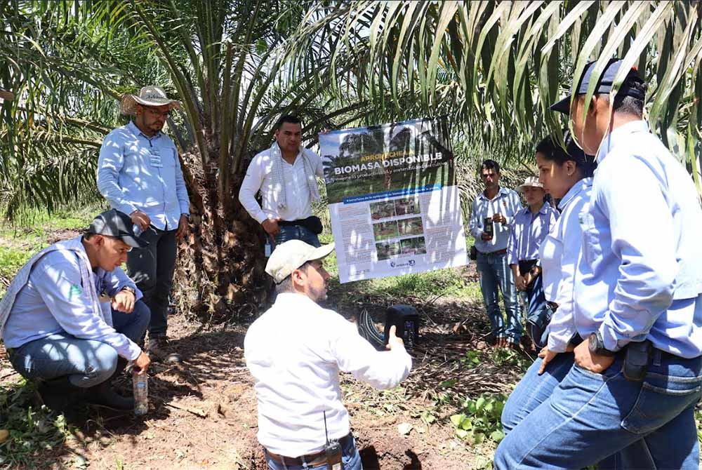 capacitación del proyecto palma de aceite y biocarbono en Orinoquia