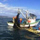 UNIMAGDALENA celebra convenio para doble titulación en ‘Acuicultura y Pesquerías Tropicales’ UNIMAGDALENA - convenio doble titulación en ‘Acuicultura y Pesquerías Tropicales’