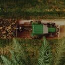 Historias de película de palmicultores colombianos ahora están en las salas de cine del país palmicultores