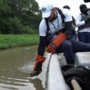 Corpamag liberó animales silvestres atendidos y protegidos en su centro de atención y valoración Corpamag liberó animales silvestres