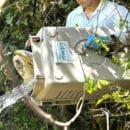 Drummond libera fauna silvestre