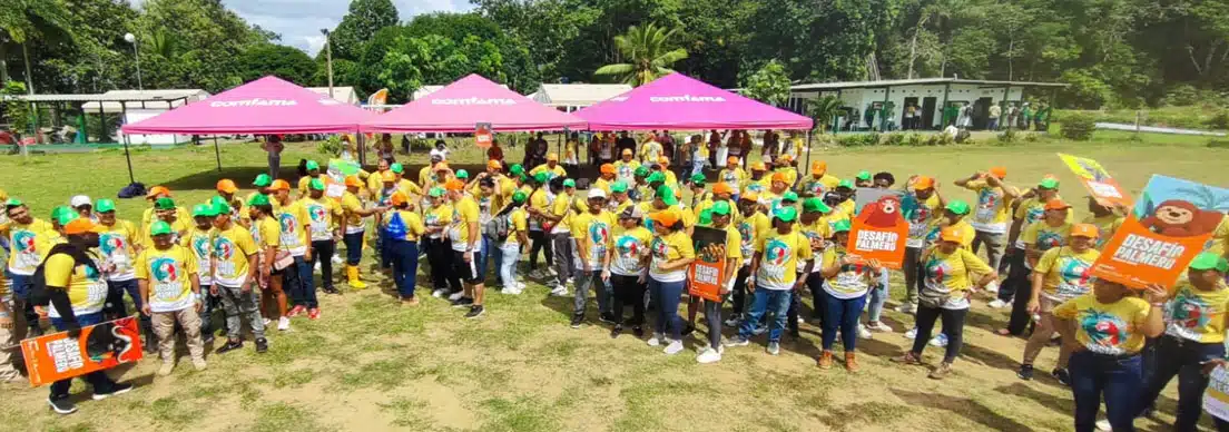 Fedepalma lanza el primer “Desafío Palmero”