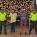 Incautan más de 30 metros de centímetros cúbicos de madera