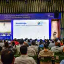 Sector palmero, preparado para mitigar cambio climático