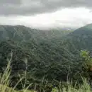 Corpamag adopta medidas para mitigar efectos del fenómeno el niño