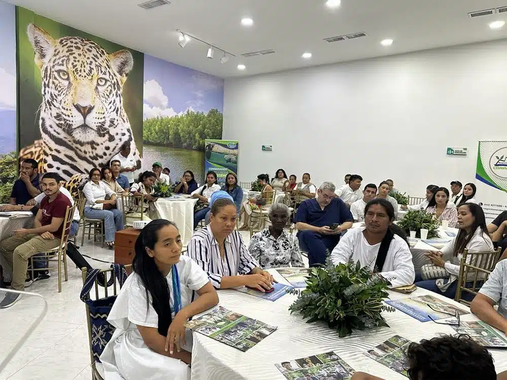 Negocios verdes del departamento del Magdalena reciben aval de Corpamag