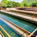 Essmar realizará mantenimiento preventivo a la PTAP El Roble