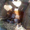 hurtos al sistema eléctrico afectan operación del alumbrado público en Santa Marta