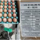 Colombia exporta por primera vez huevo a Cuba